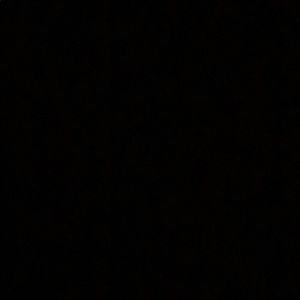 Meet your Posher, Jayla